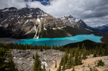 Картинка природа реки озера простор