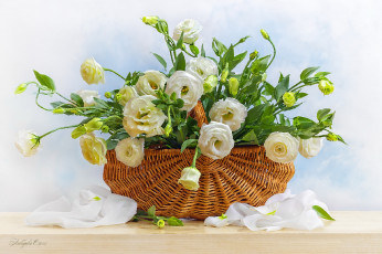 Картинка рисованное цветы эустома корзина букет