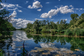 Картинка природа реки озера лес река