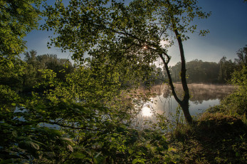 Картинка природа реки озера лес река