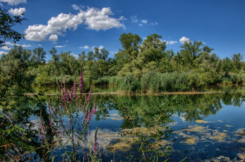 Картинка природа реки озера простор