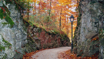 Картинка природа парк листопад осень фонарь