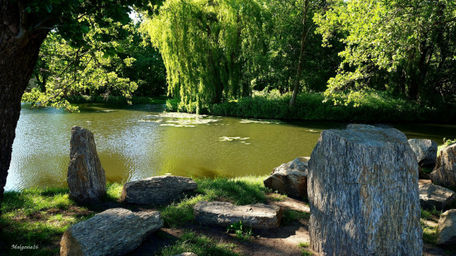 Обои картинки фото природа, парк, лето, деревья, водоем