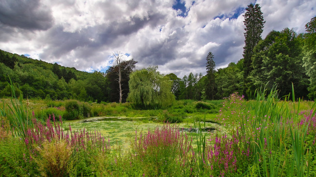 Обои картинки фото природа, пейзажи, простор