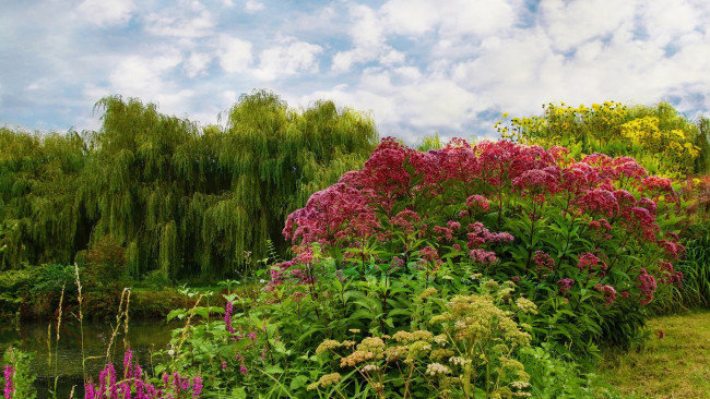 Обои картинки фото природа, пейзажи, простор