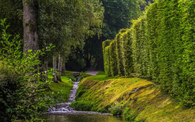 Обои картинки фото природа, лес, простор