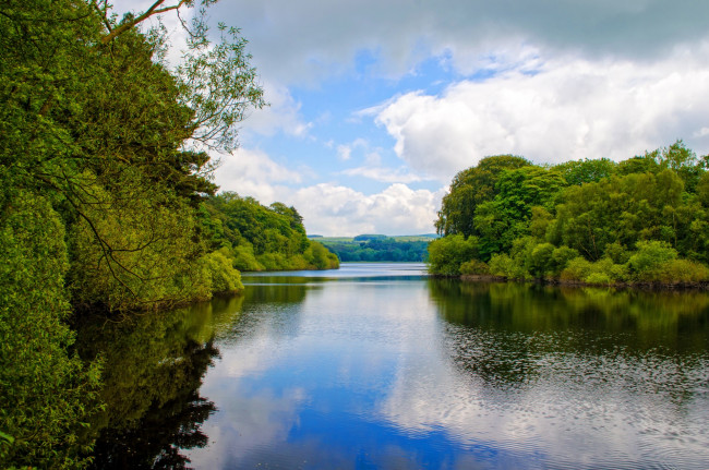 Обои картинки фото природа, реки, озера, отражение, река, лето