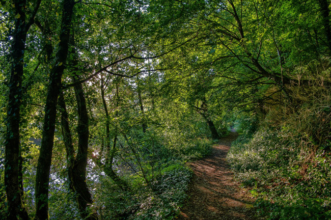 Обои картинки фото природа, дороги, простор