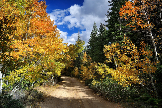 Обои картинки фото природа, дороги, простор