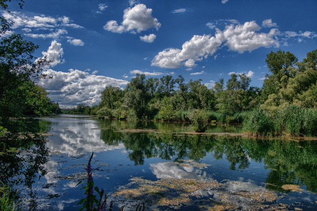 Обои картинки фото природа, реки, озера, лес, река