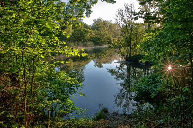 Обои картинки фото природа, реки, озера, река, лес