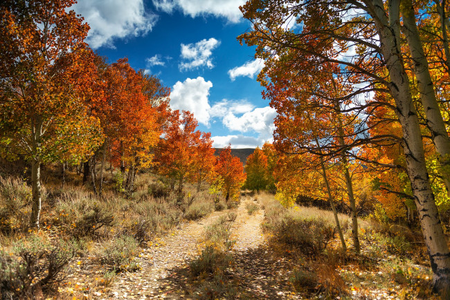 Обои картинки фото природа, пейзажи, простор