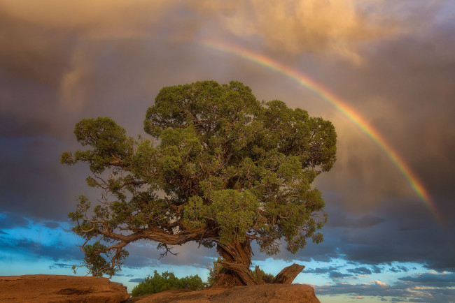 Обои картинки фото природа, радуга