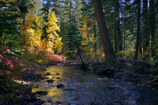 Обои картинки фото природа, реки, озера, простор