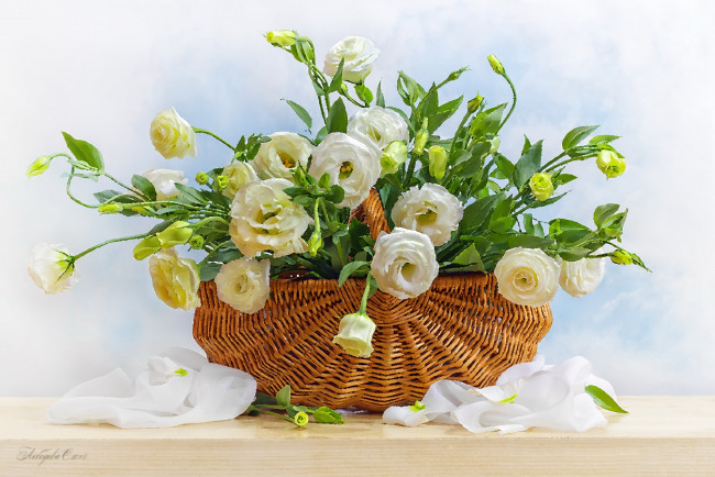Обои картинки фото рисованное, цветы, эустома, корзина, букет