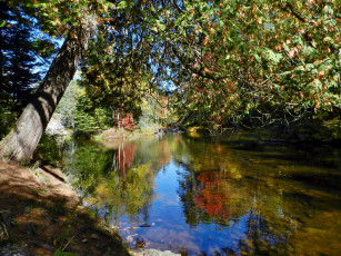 Картинка природа реки озера река осень