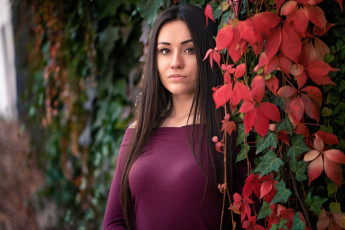 Картинка девушка девушки -unsort+ брюнетки темноволосые модель