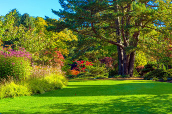 Картинка природа парк осень