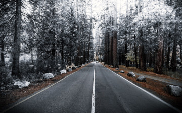 Картинка природа дороги шоссе