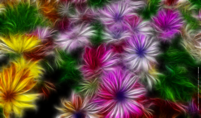 Обои картинки фото календари, компьютерный дизайн, цветы