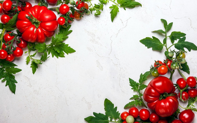 Обои картинки фото еда, помидоры, черри