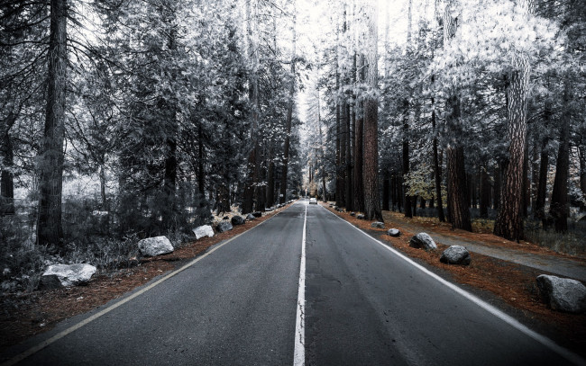 Обои картинки фото природа, дороги, шоссе