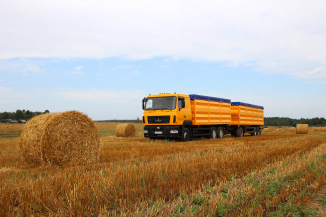 Обои картинки фото автомобили, маз, maz