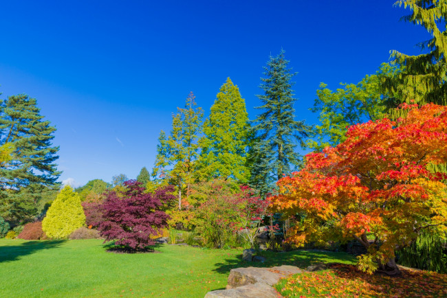 Обои картинки фото природа, парк, осень