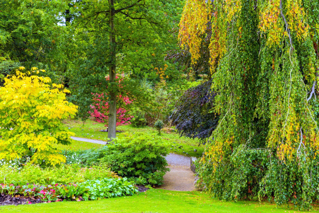 Обои картинки фото природа, парк, осень