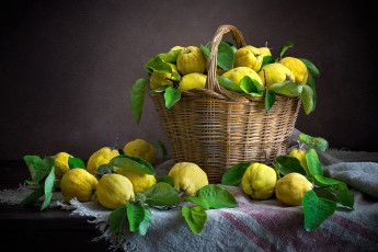 Картинка еда груши снедь