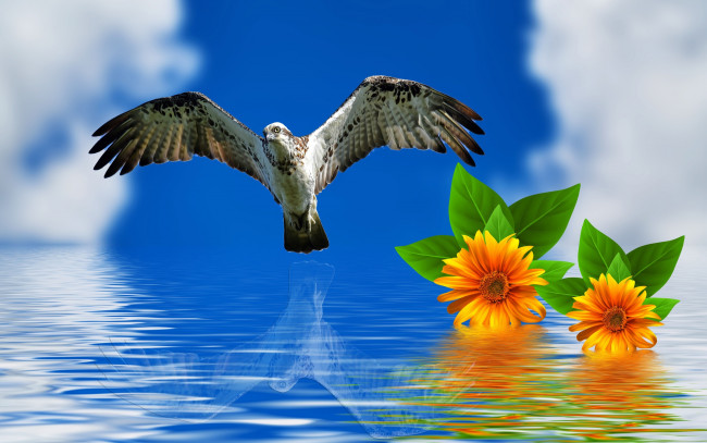 Обои картинки фото разное, компьютерный дизайн, птица, полет