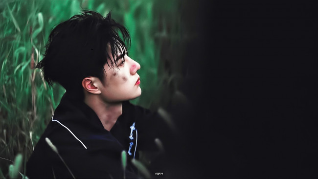 Обои картинки фото мужчины, wang yi bo, актер, лицо, трава