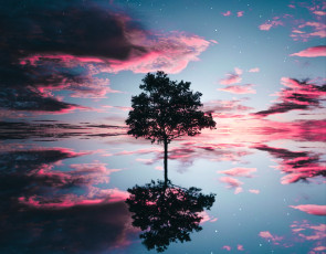 Картинка природа деревья дерево облака вода