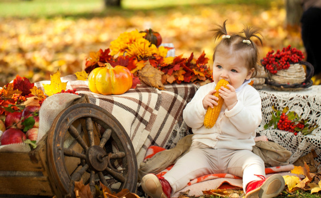 Обои картинки фото разное, дети, девочка, ребенок, кукуруза, колесо, листья, осень, тыква, рябина