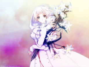 Картинка аниме clover