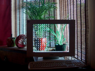 Картинка разное другое