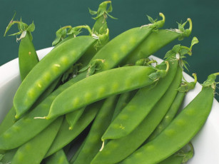 Картинка еда бобовые