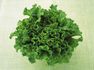 Картинка еда разное