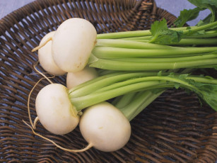 Картинка еда редис репа редька