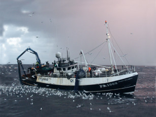 Картинка корабли другое