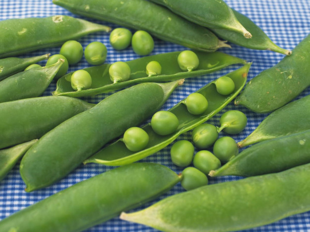 Обои картинки фото еда, бобовые