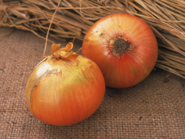 Обои картинки фото еда, лук