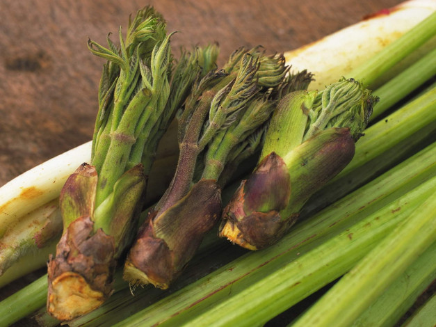 Обои картинки фото еда, овощи