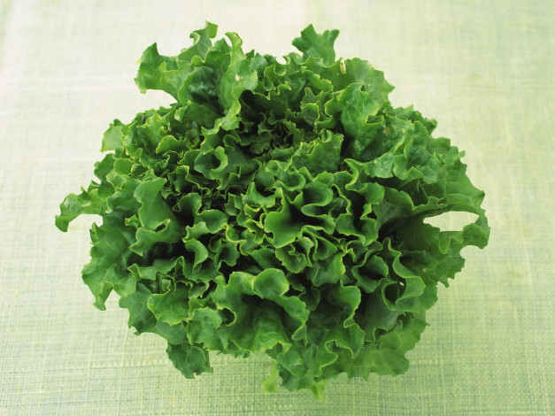 Обои картинки фото еда, разное