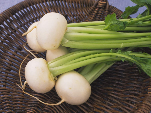 Обои картинки фото еда, редис, репа, редька