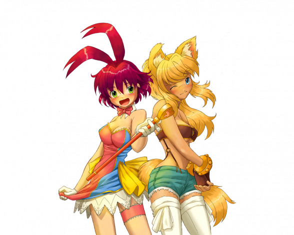 Обои картинки фото аниме, animals