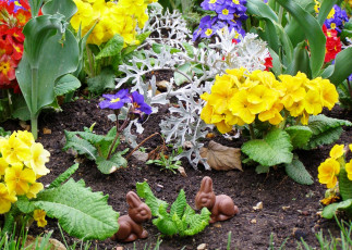 Картинка цветы разные вместе зайчик