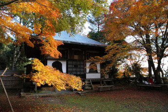 Картинка разное сооружения постройки дом деревья двор