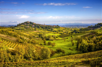 Картинка природа поля холмы виноградники