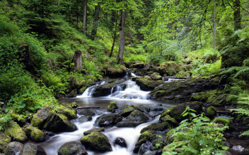 Картинка природа реки озера лес камни река